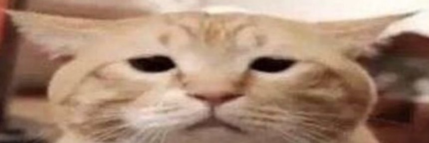 PlsGroovy's profile banner image