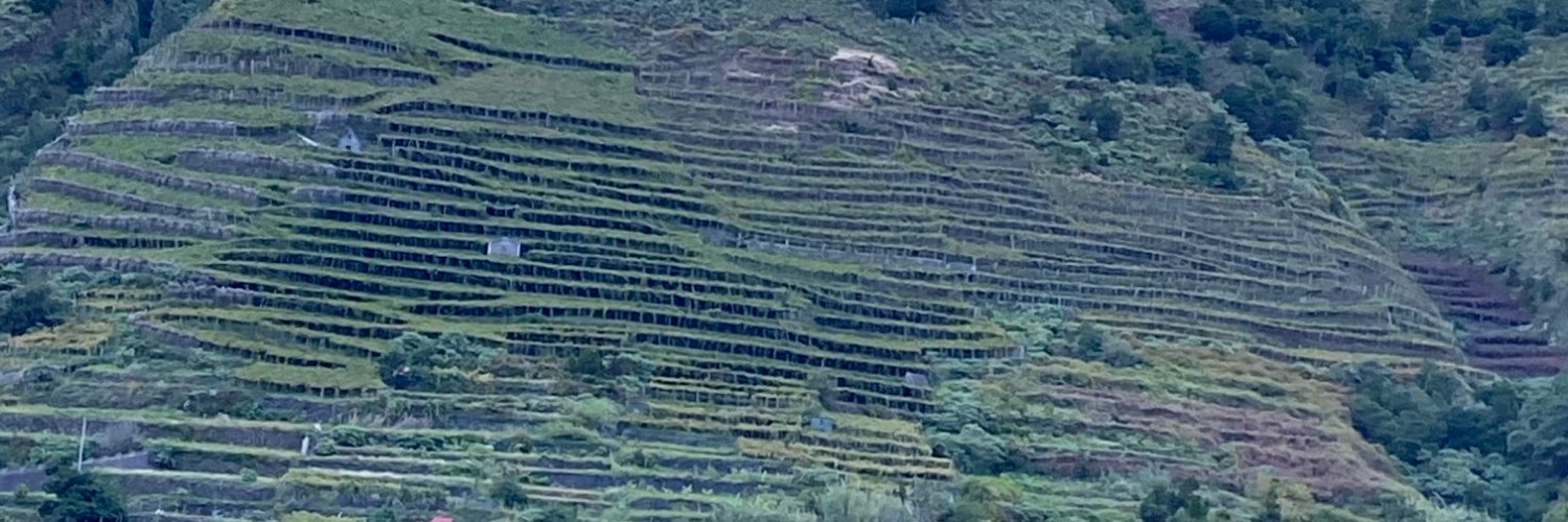 Corks Plus Forks banner