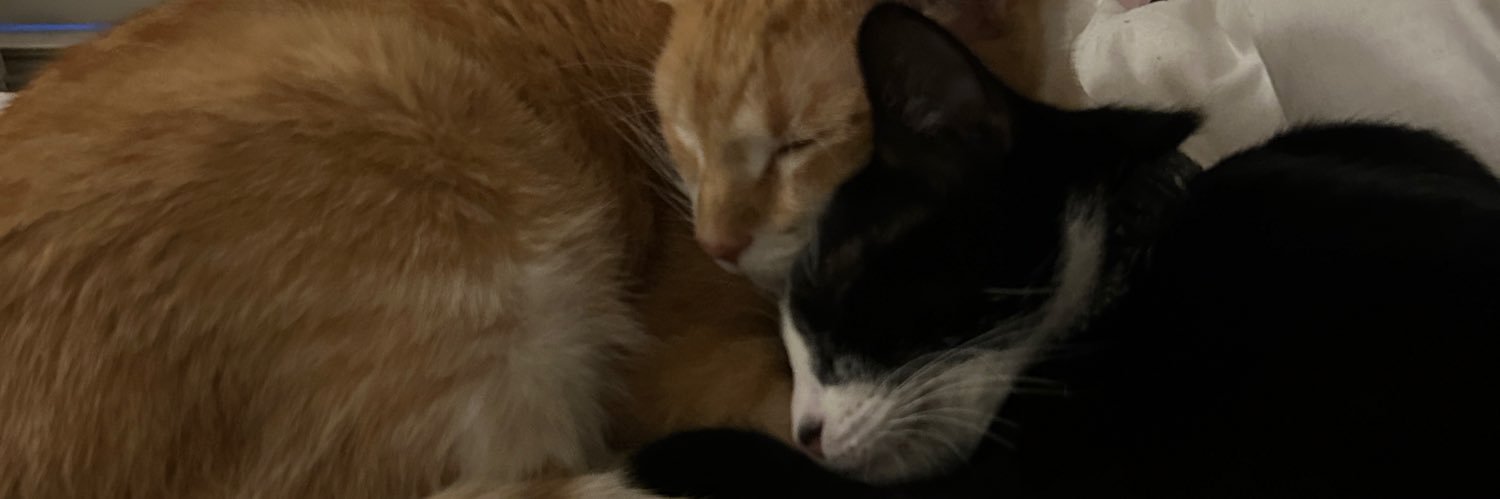 MediocreRats's profile banner image