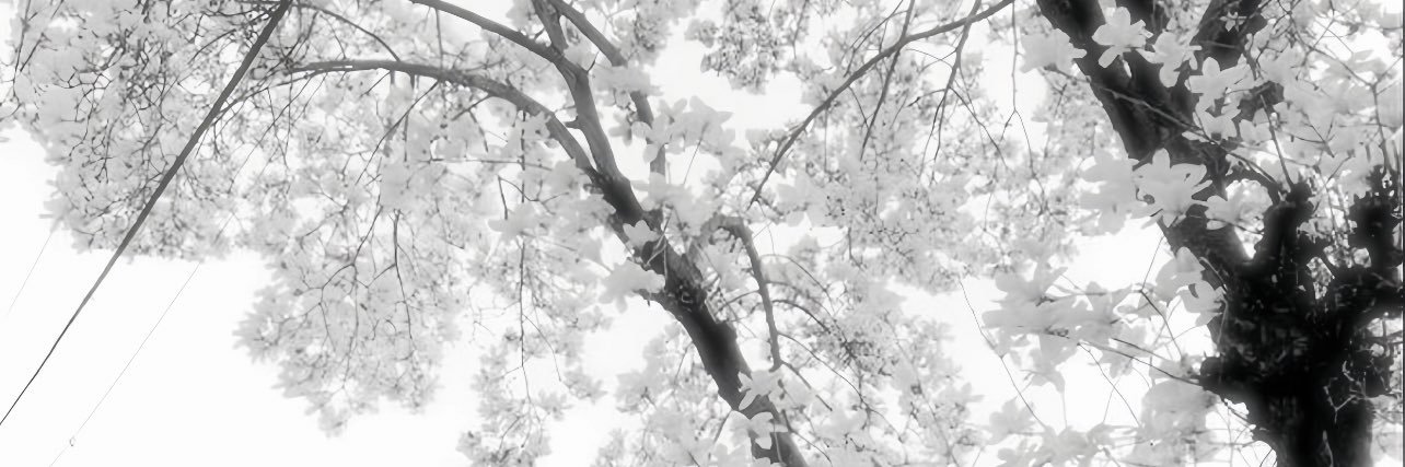 marihua's banner