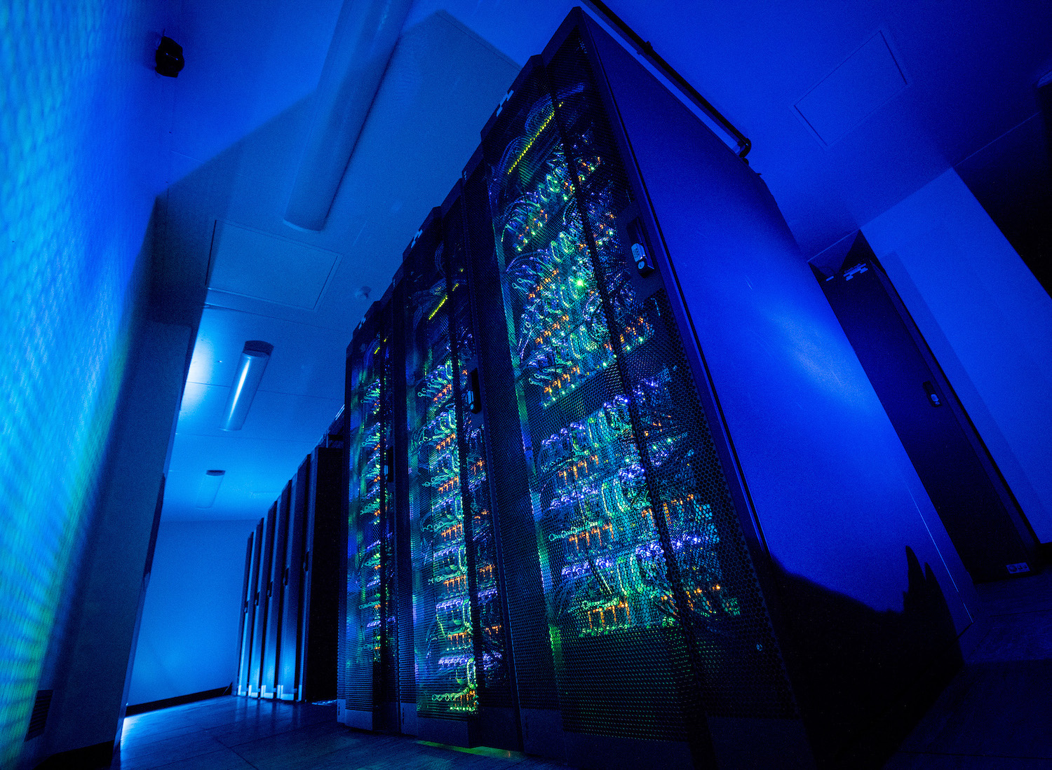 Matthew N. Grayson banner