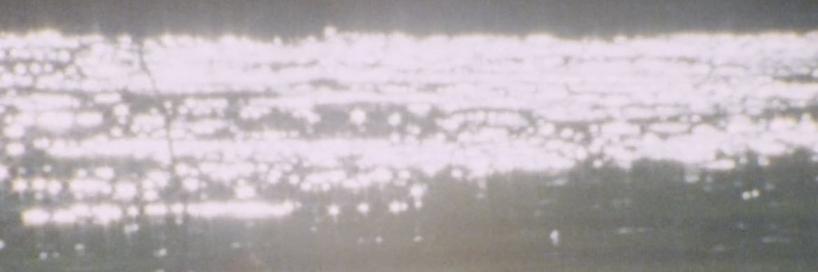 Palestra's banner