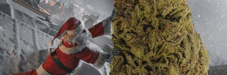 Gross 🔞 banner