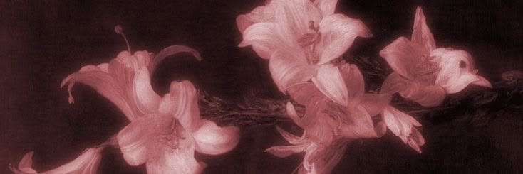 its_alee14's profile banner image