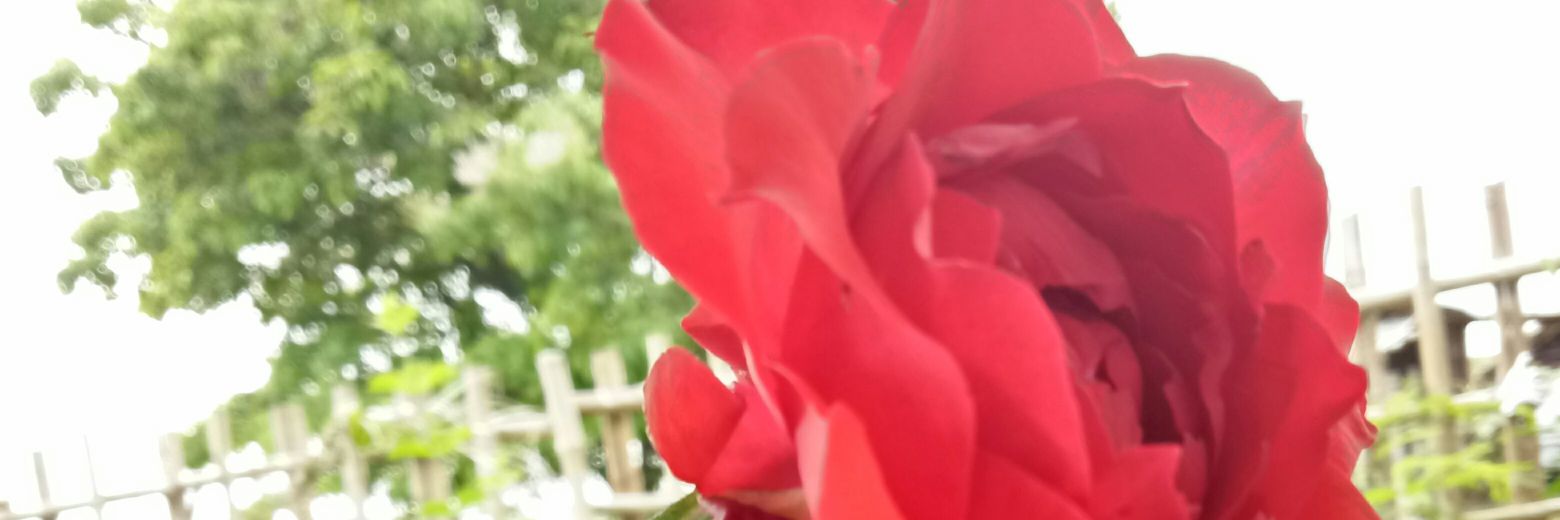 jLo_06's profile banner image