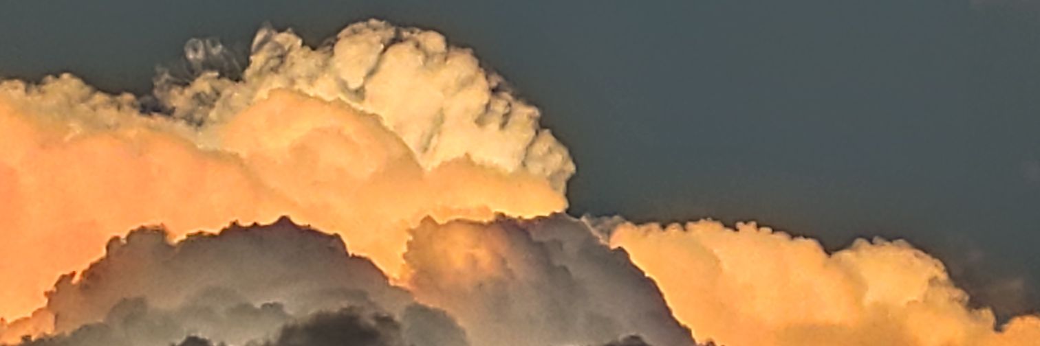 Eduardo B. C. banner