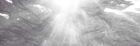 RolexOnMyDick's profile banner image