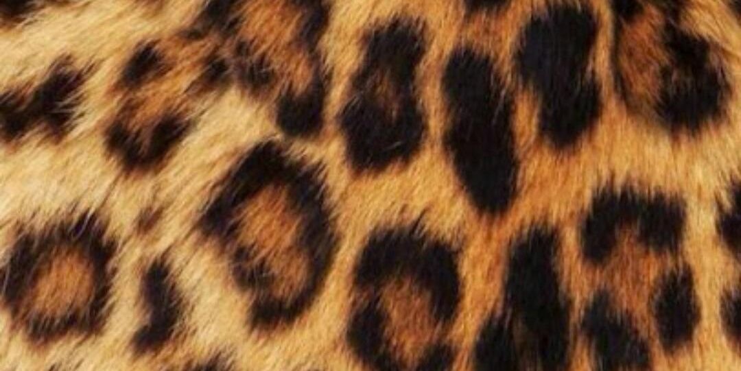 FalakAzzam's profile banner image