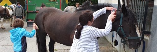 Kirsten @kiza72@social.cologne banner