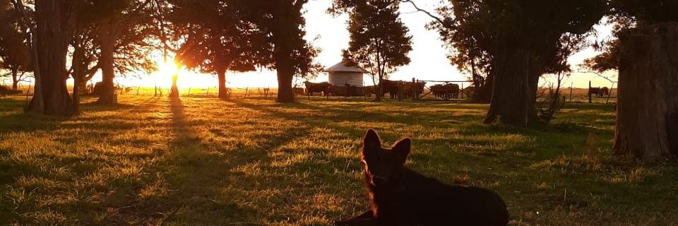macatellechea's profile banner image