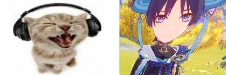 🐸 banner