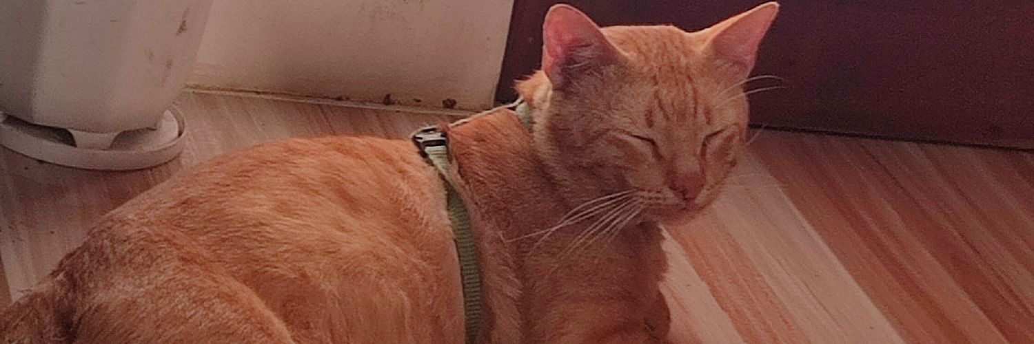 kenishiro 🦥 banner