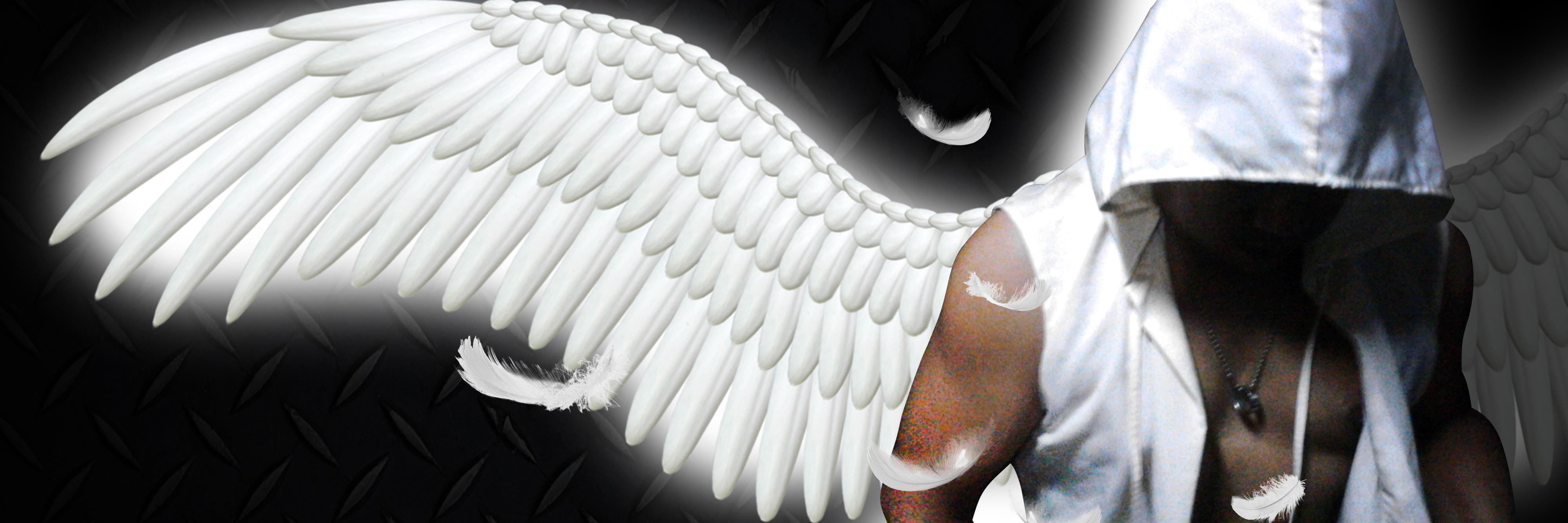 serfranz's profile banner image