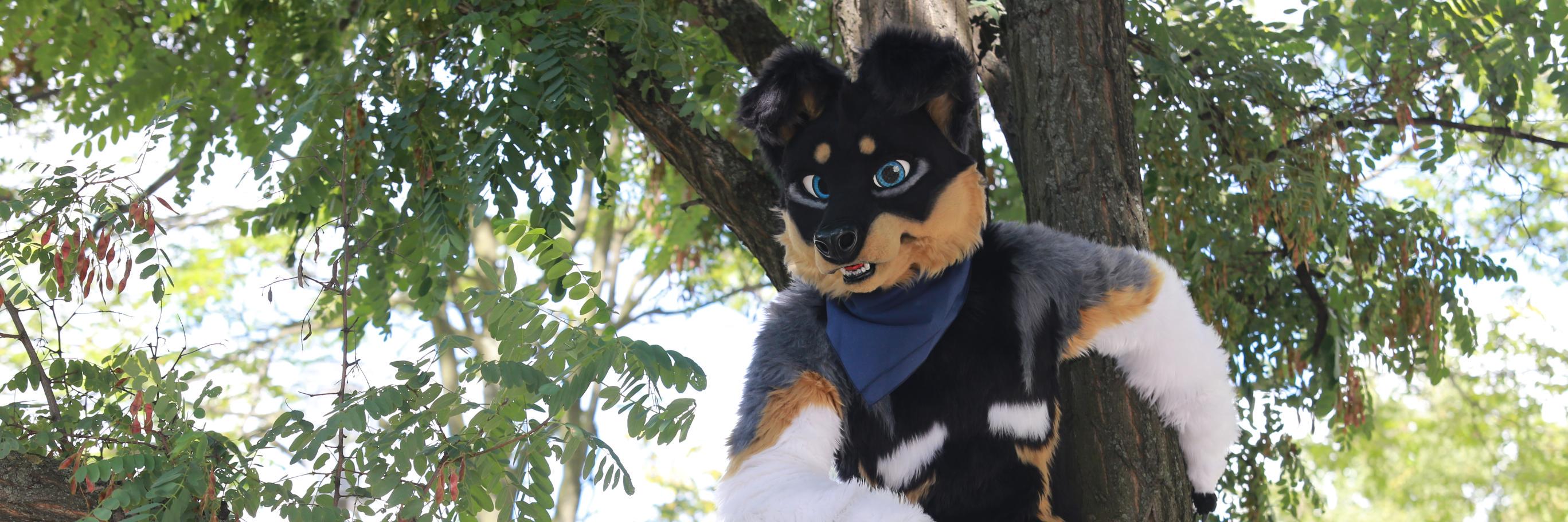 🌵 Nero / Devilish Roo Vespa 🌵 banner