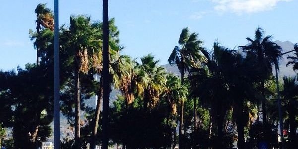 ozmonroe1's profile banner image