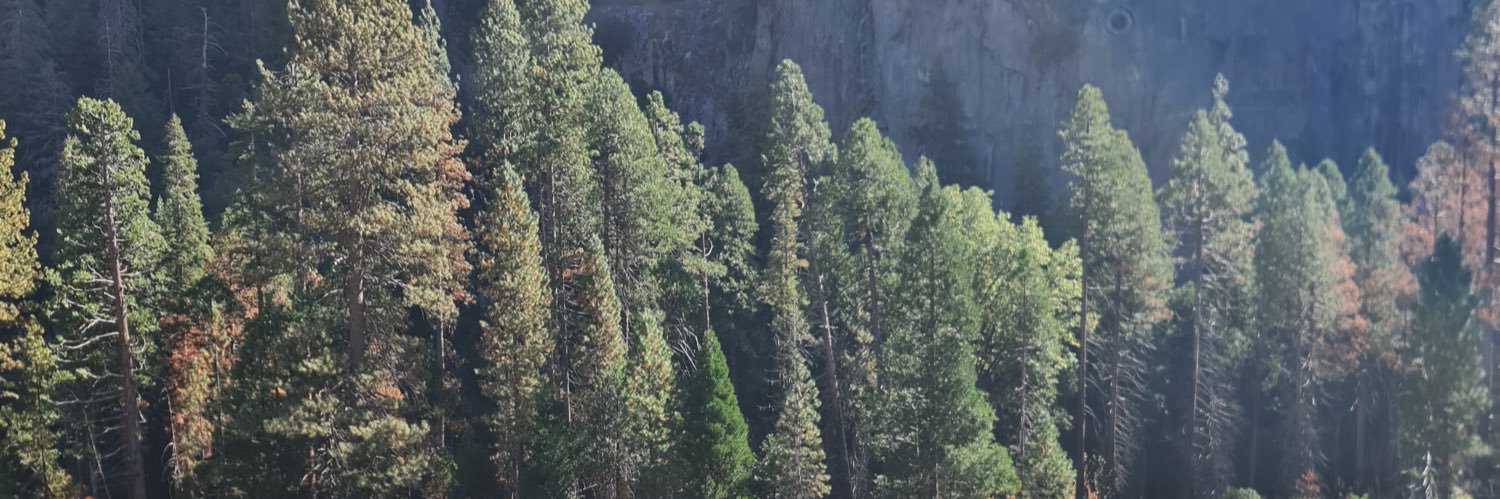 ScottyDomm's profile banner image