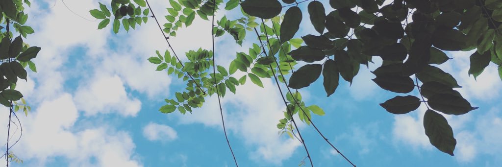 3and3quarters's profile banner image