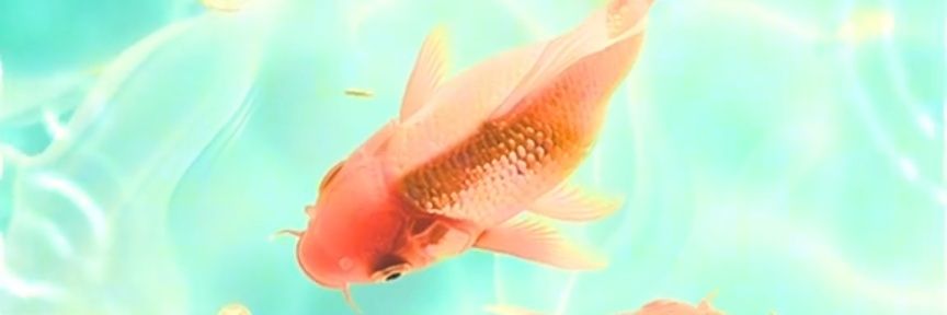 milkana's profile banner image