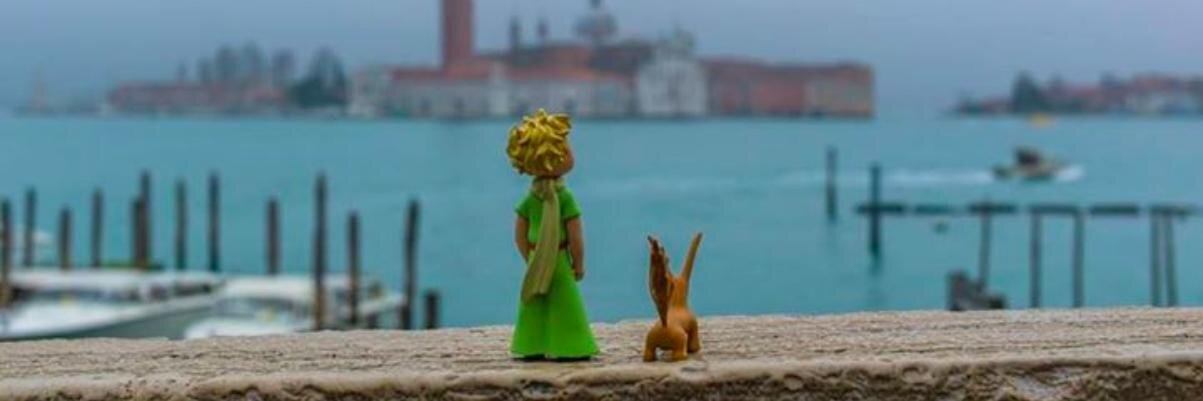 Fernanda Kersman 💚 banner