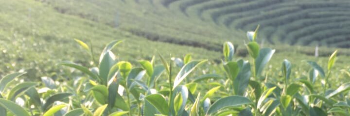 NattarigaJ's profile banner image