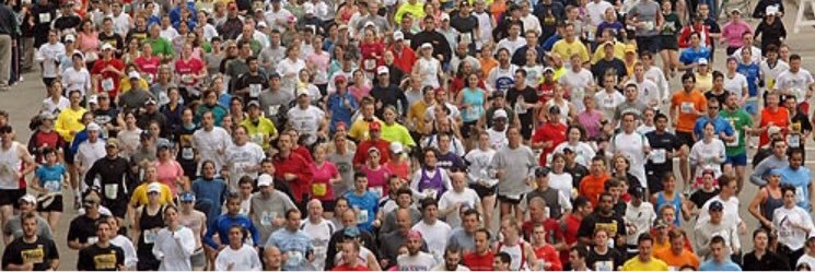 Matthew Maynard banner