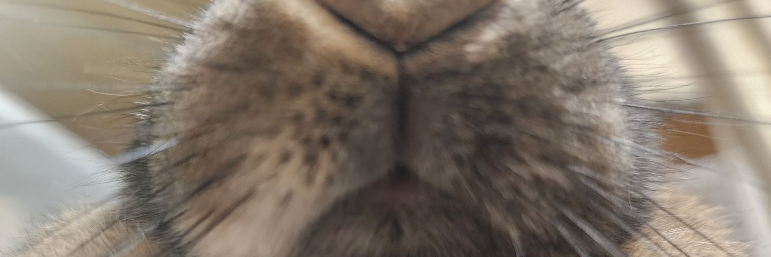 DJ_Kenpei's profile banner image