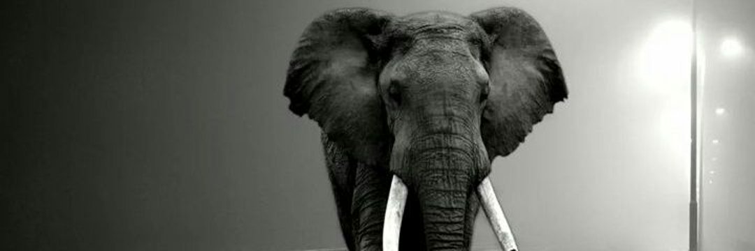 LikwaaBhozza's profile banner image