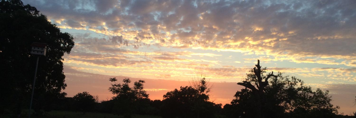 LaneyR_Smith's profile banner image