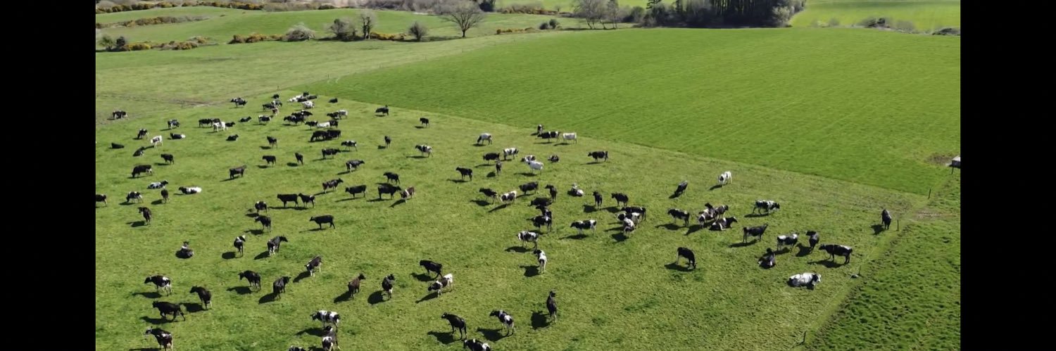 Declan Collins banner