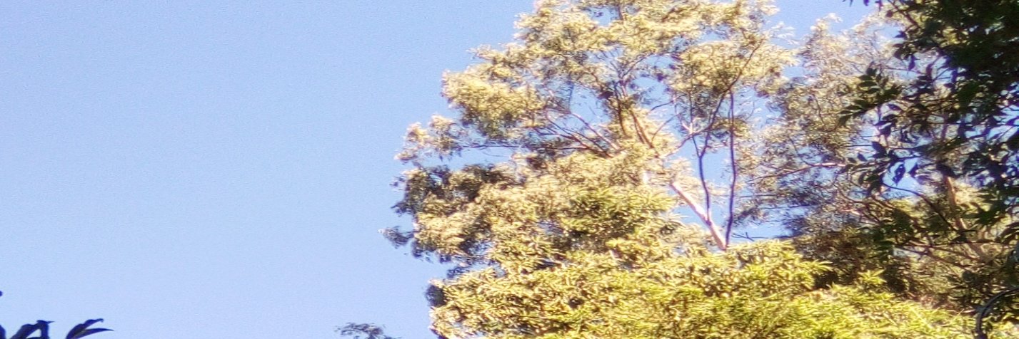 eseo19's profile banner image