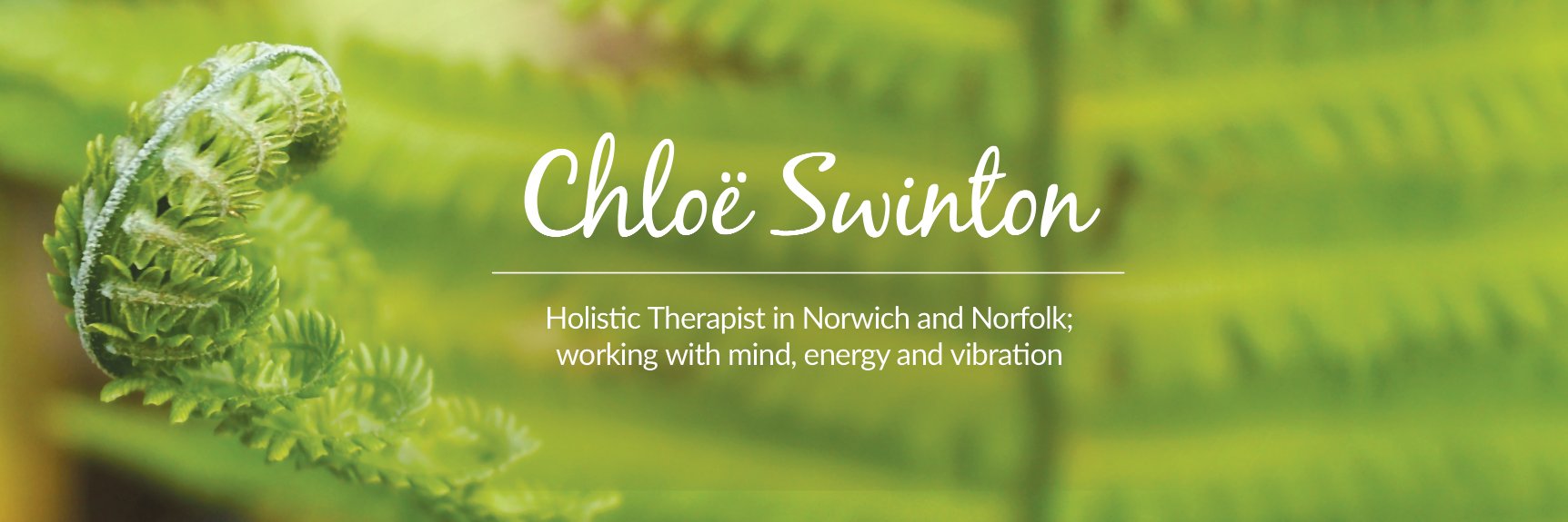 ChloeSwinton_'s profile banner image