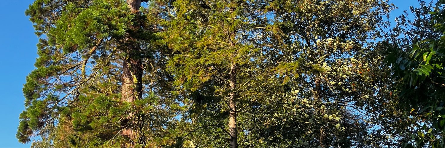 Jen_Neffer's profile banner image