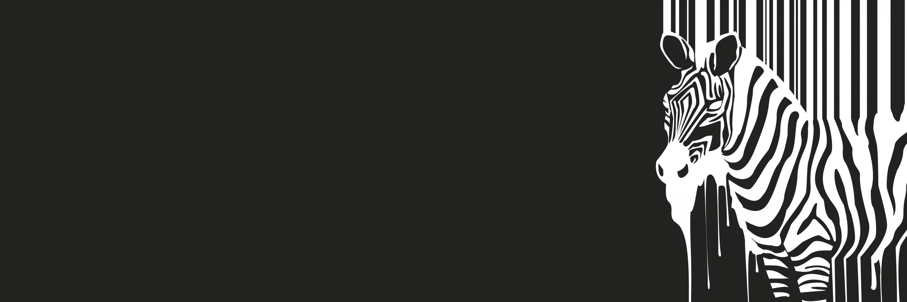 Zebra_and_Co's profile banner image