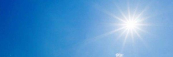 cactusO3O Profile Banner