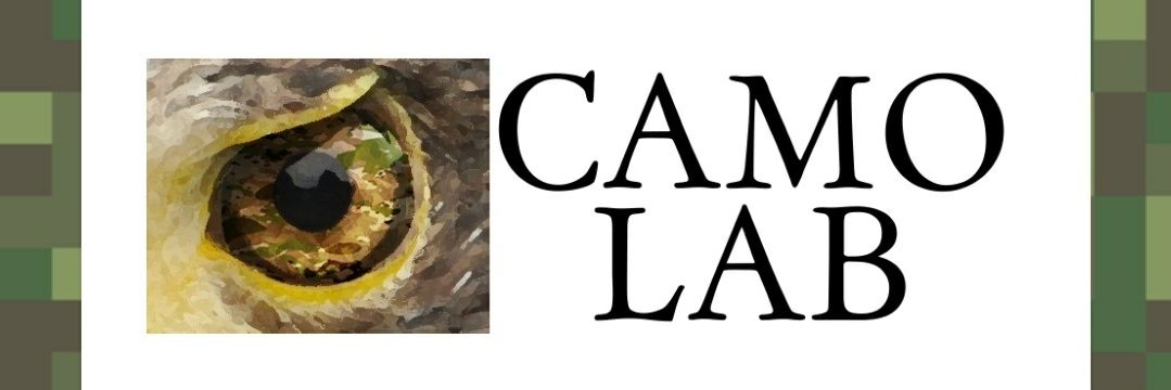Camo_Lab's profile banner image
