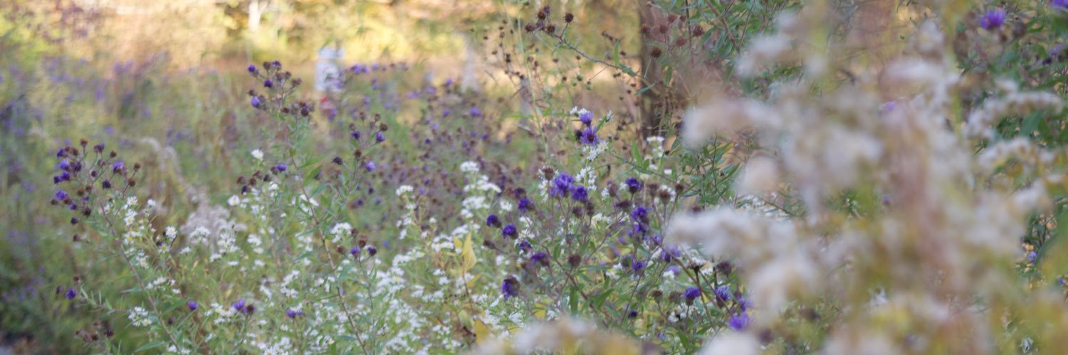 its_cindyanne's profile banner image