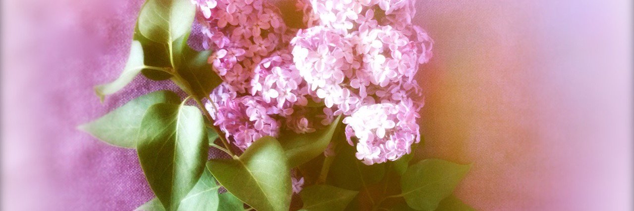 Alexandrina_M's profile banner image