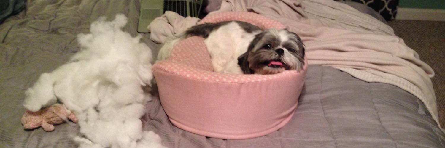 Oreo_CookieCake's profile banner image