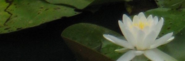 k3miffy Profile Banner