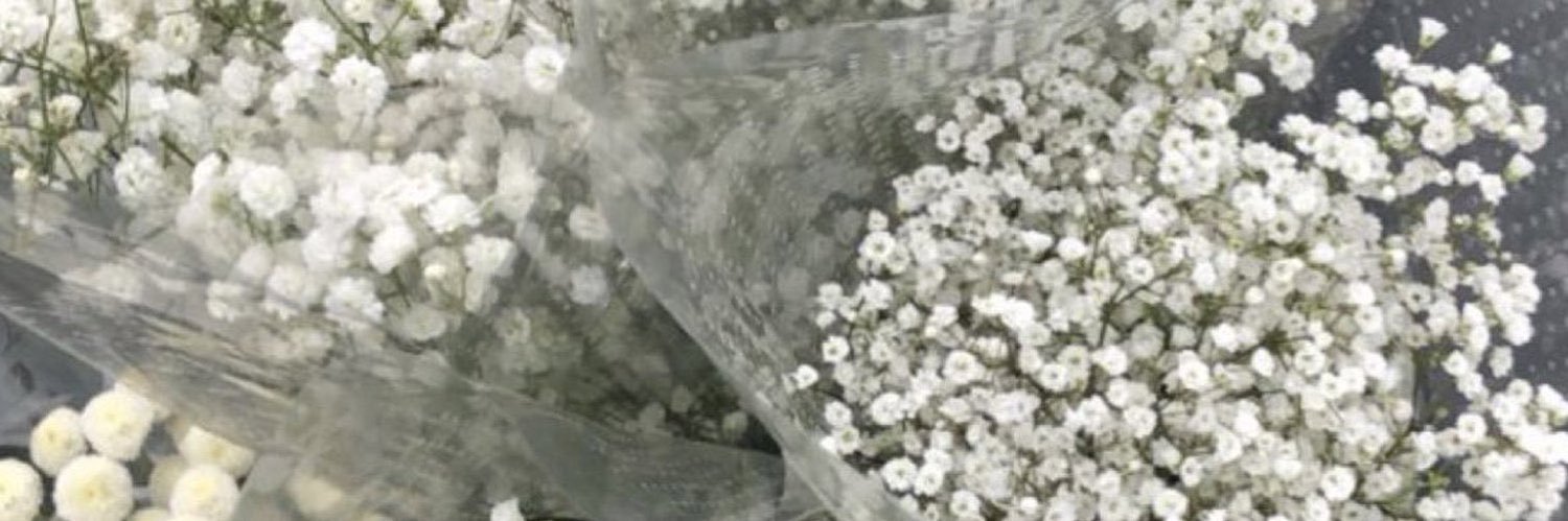 gracerryy's profile banner image