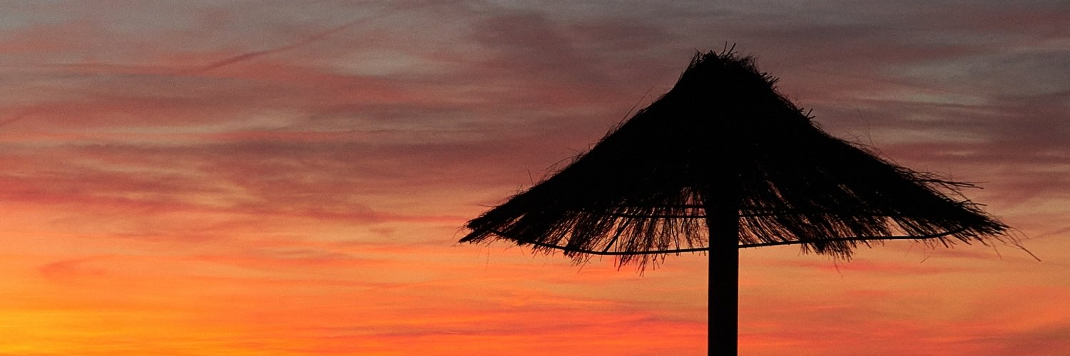 superphoenix66's profile banner image