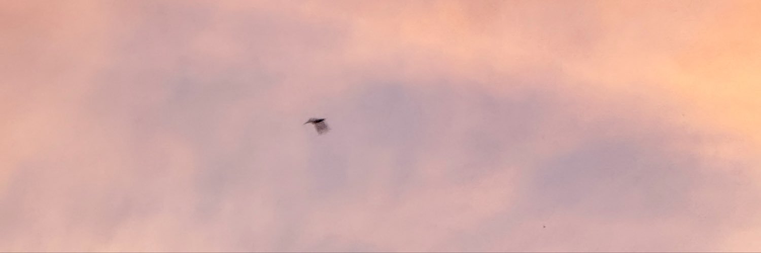 dinhftin's profile banner image
