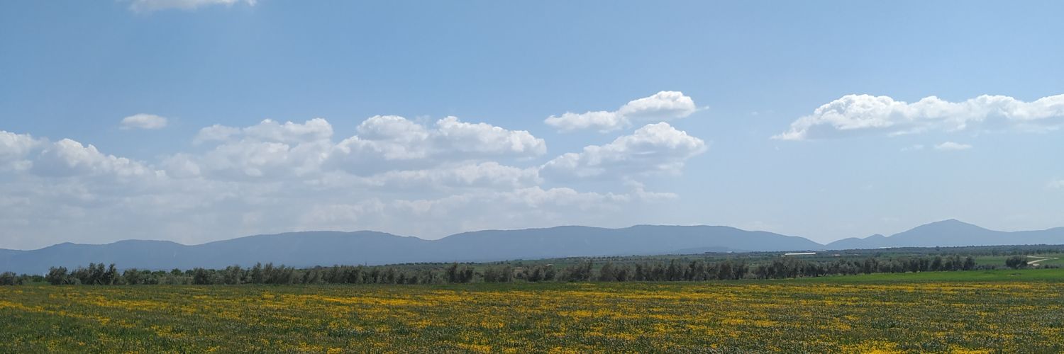 Elenaa1203's profile banner image