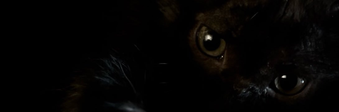 vee banner