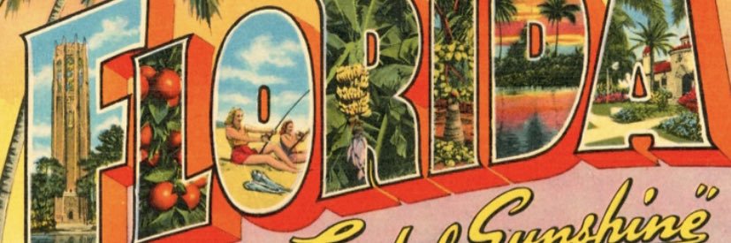 A Florida Woman ☮️🌻🌊🌈❤️🧡💛💚💙💜🖤 banner