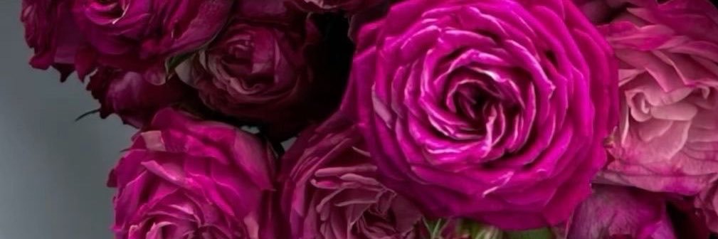 lulyelena's profile banner image
