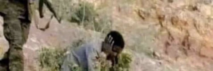 Justice4Tigray banner