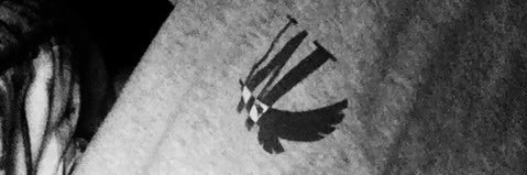 blcxa's profile banner image