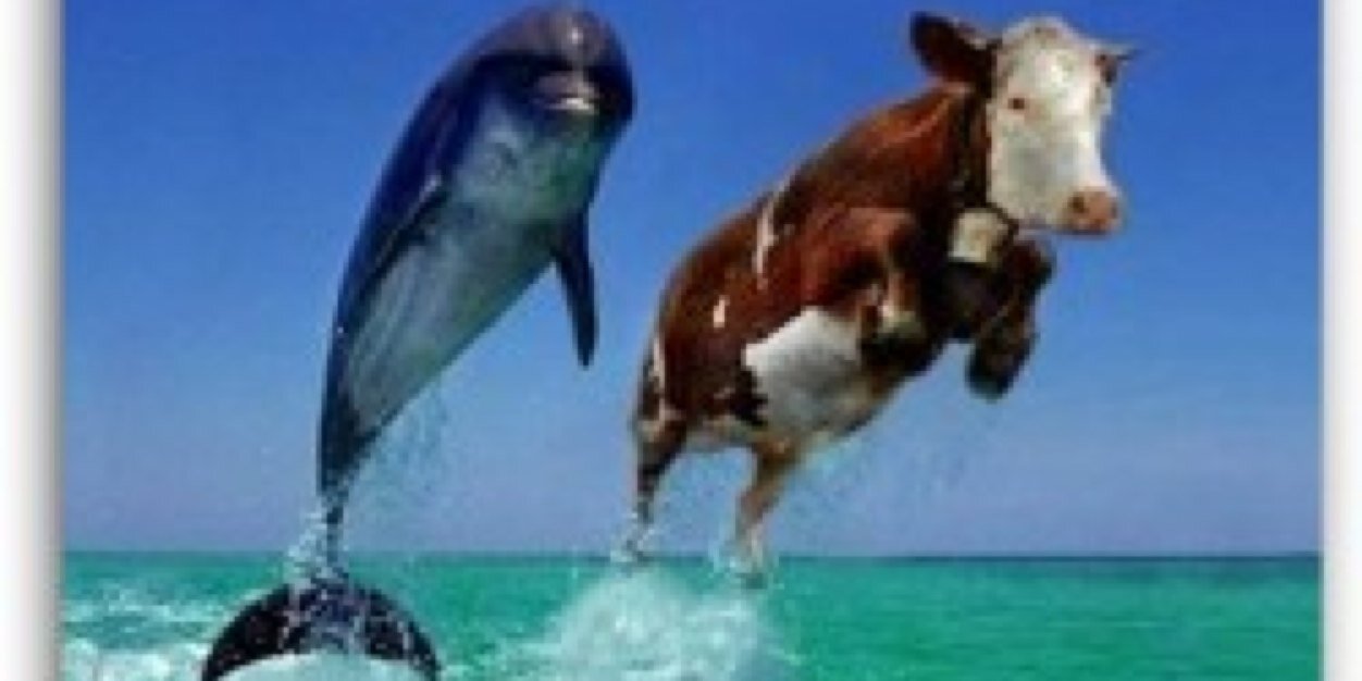 TjLally18's profile banner image