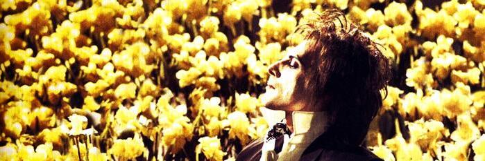Patosalvat8's profile banner image
